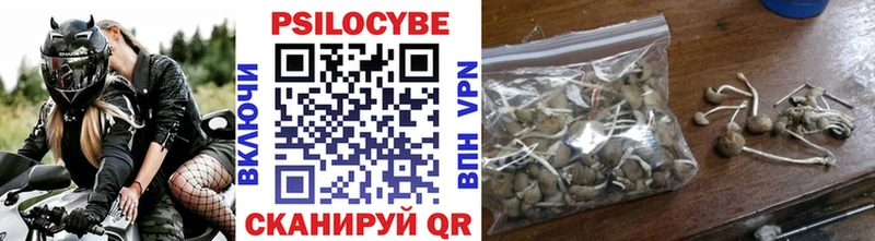 купить наркотик  Сольвычегодск  Псилоцибиновые грибы мухоморы 